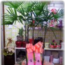 파동약국 이미지