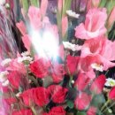 우봉미술전시관 이미지