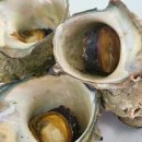 해녀촌식당 이미지