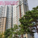 상대동11 이미지