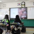 부산고교 | 부산 고등학교 원예 클래스 외부 출강 강의 후기