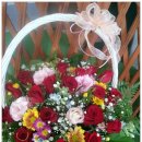 샤론의꽃 이미지