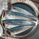 영어조합법인정품수산