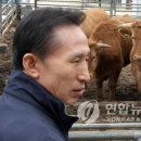소가 이미지