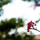 상예동-8 이미지