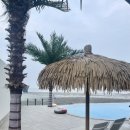 BOHENA(보헤나) 이미지