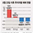 외국인 역대 최장거래일 순매수와 조선주 관련 이야기 이미지