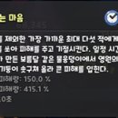 바다요정 이미지