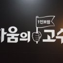 싸움의고수용인