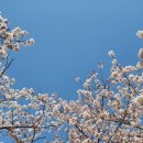 연부농장 이미지