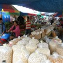 마동1리 이미지