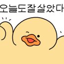 조하영원조목살집 이미지