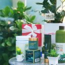 김정문알로에 부평점 이미지