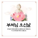 부처님오신날점등식과군민화합을위한연등문화축제 | 2025년 부처님 오신 날 전국 봉축행사 총정리 (연등축제·템플스테이 포함)