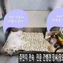 쥬만지동물의료센터 이미지