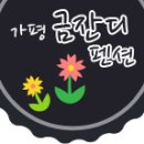 가평금잔디 이미지