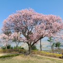 투에스테크 이미지