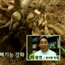 하늘뿌리한의원 이미지