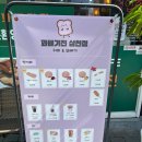 꽈배기진 티스토리