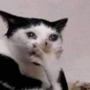 강남-252 | 강남역 미용실 “해피니언 강남역 미라클점” 지아 디자이너 솔직 후기 *대대대대만족*