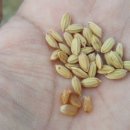 이영우농장 이미지