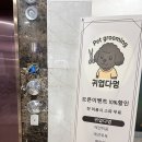 귀엽다멍 이미지