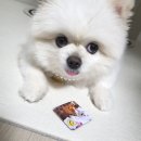 오로지스튜디오