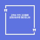 카소메디칼 | 고약사 추천 고지혈증 코엔자임큐텐 캘리포니아 골드 뉴트리션