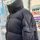 수담수선