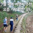 코끼리떡집 - 북구 호계로 332-2 | "요즘 여기 안가는 사람이 없다고?" 또간집도 다녀간 7월 여름 국내 여행지는 어디?
