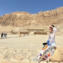 🇪🇬 [이집트 2일차 | 카이로] 이집트 박물관(카이로 박물관) 후기 및 투어 팁