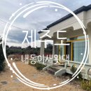 내동이 새왓댁 이미지