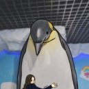 진행중 이미지