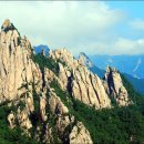 아름다운 그님 이미지