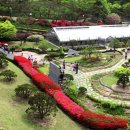 수목원약수터 이미지