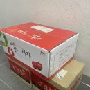 영양고추가 유명하지만 영양은 사과도 유명해요! 모경농산의 영양 사과즙 후기