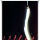 충주호 제일낚시터 이미지