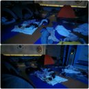 계명대 최강2 태권도장 | [파주태권도장] 초등 태권도 합숙 추천｜아이 자존감·사회성 키우는 1박 2일 캠프