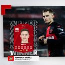 플로리안 이미지