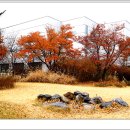 미메시스 아트 뮤지엄 이미지