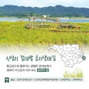 신성리갈대밭습지생태길 이미지