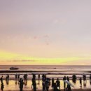 CoCo멍(코코멍) 이미지