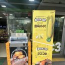 총각네송도