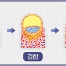 화유한의원 이미지