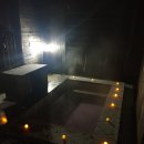 타피올라 이미지