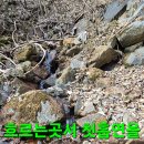 한골요 이미지