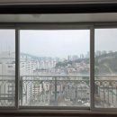 동보유리