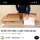 고양이 수직 스크래쳐 가격 및 후기