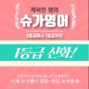 캐써린쌤의슈가영어교습소