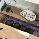 리조이스커피 이미지